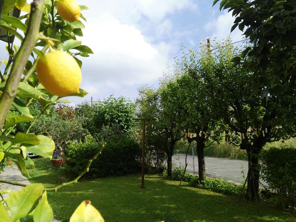 Casa Mite Apartment Pietrasanta Ngoại thất bức ảnh