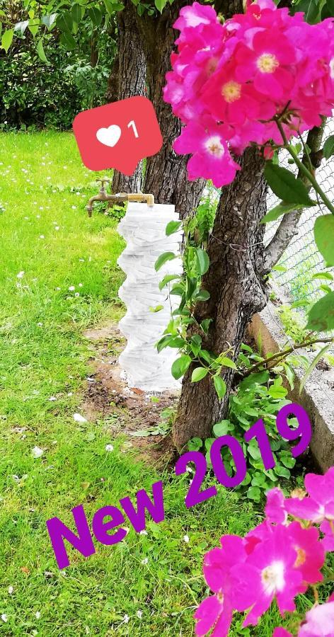 Casa Mite Apartment Pietrasanta Ngoại thất bức ảnh